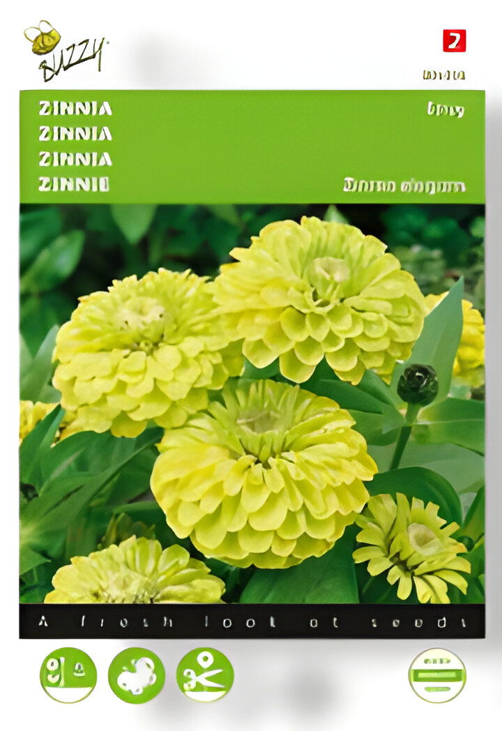 https://cdn.warentuin.nl/media/catalog/product/S/C/SCAN8711117048565_01_buzzy_zaden_zinnia_envy_1_gram_buzzy_060a.jpg