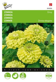 https://cdn.warentuin.nl/media/catalog/product/S/C/SCAN8711117048565_zaden_zinnia_envy_1_gram_buzzy_seeds_3aec.jpg