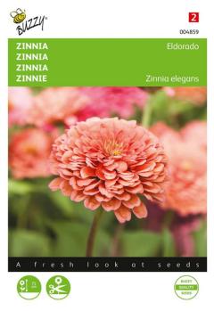 https://cdn.warentuin.nl/media/catalog/product/S/C/SCAN8711117048596_zaden_zinnia_eldorado_1_gram_buzzy_seeds_f4e7.jpg