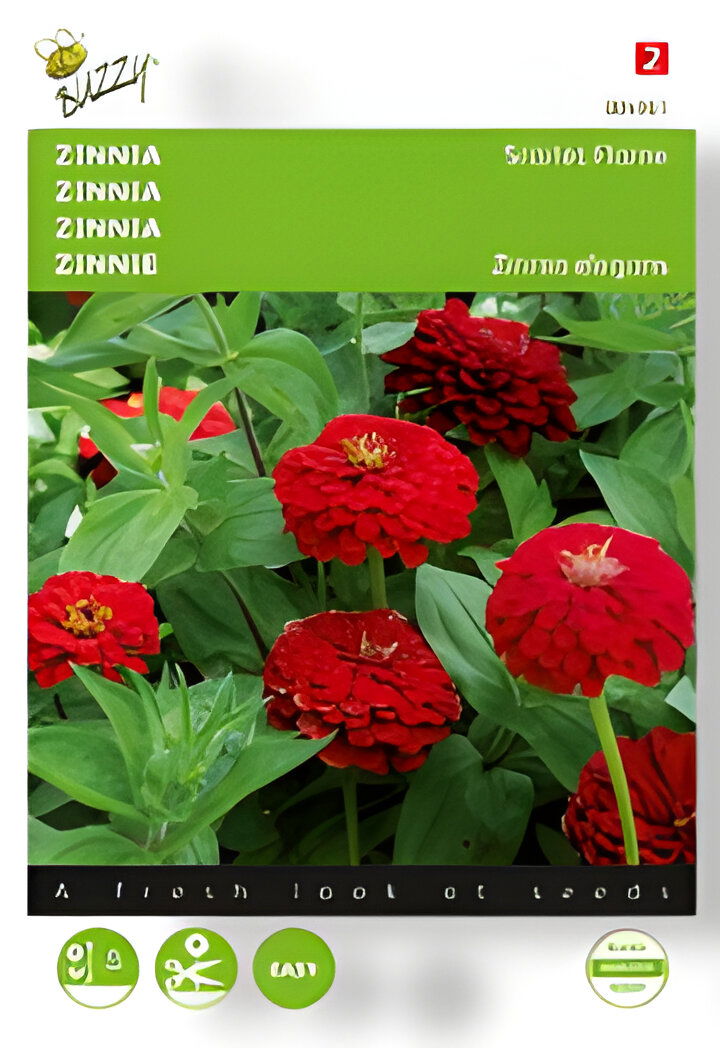https://cdn.warentuin.nl/media/catalog/product/S/C/SCAN8711117048619_01_buzzy_zaden_zinnia_scarlet_flame_1_gram_buzz_5f02.jpg