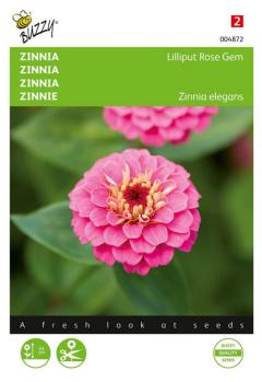 https://cdn.warentuin.nl/media/catalog/product/S/C/SCAN8711117048725_zaden_zinnia_lilliput_rose_gem_1_gram_buzzy_seeds_e8e3.jpg