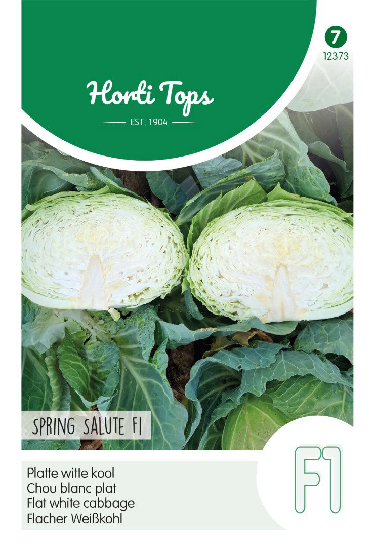 Samen Flachkohl Spring Salute F1 50 Samen