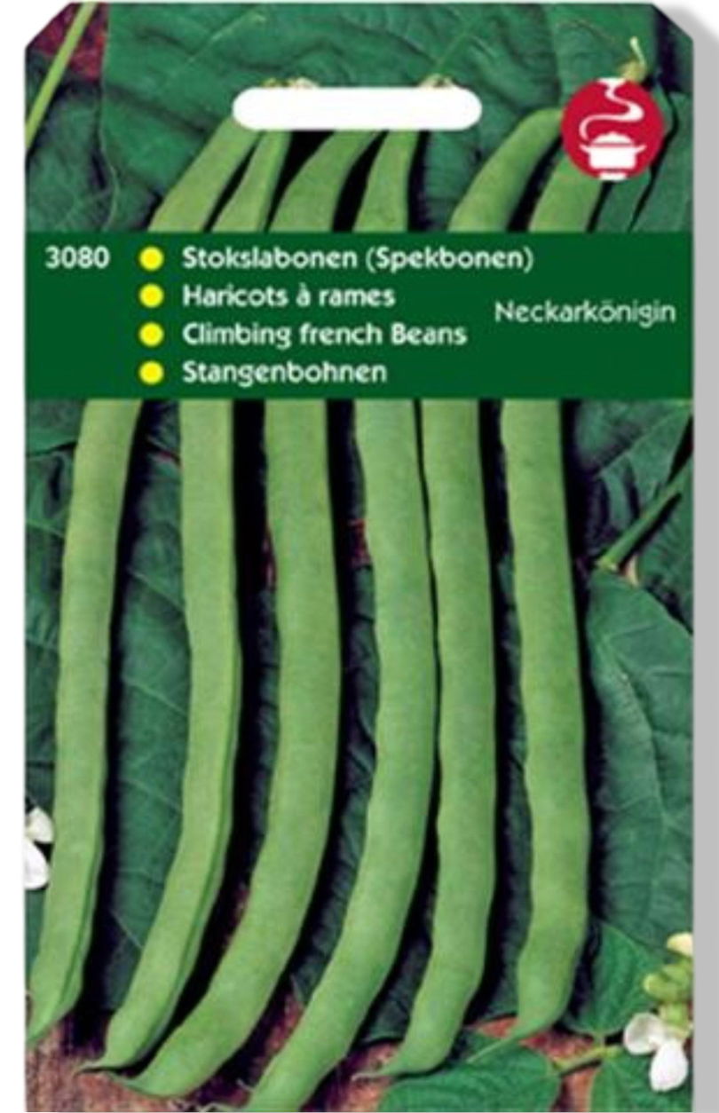 https://cdn.warentuin.nl/media/catalog/product/S/C/SCAN8711117308003_01_tuinplus_zaden_stokspekbonen_neckarkonigin_t_97f7.jpg