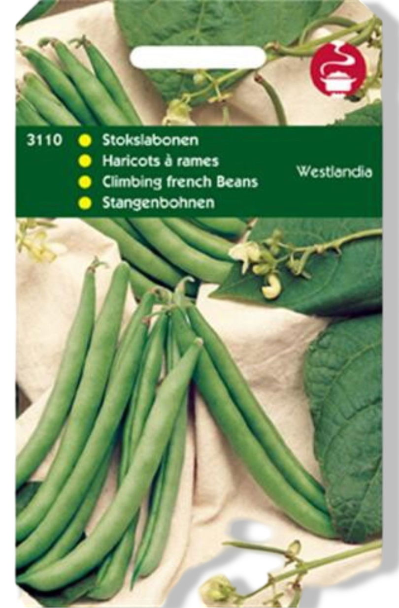 https://cdn.warentuin.nl/media/catalog/product/S/C/SCAN8711117311003_01_tuinplus_zaden_stokslabonen_westlandse_dubbe_20b7.jpg