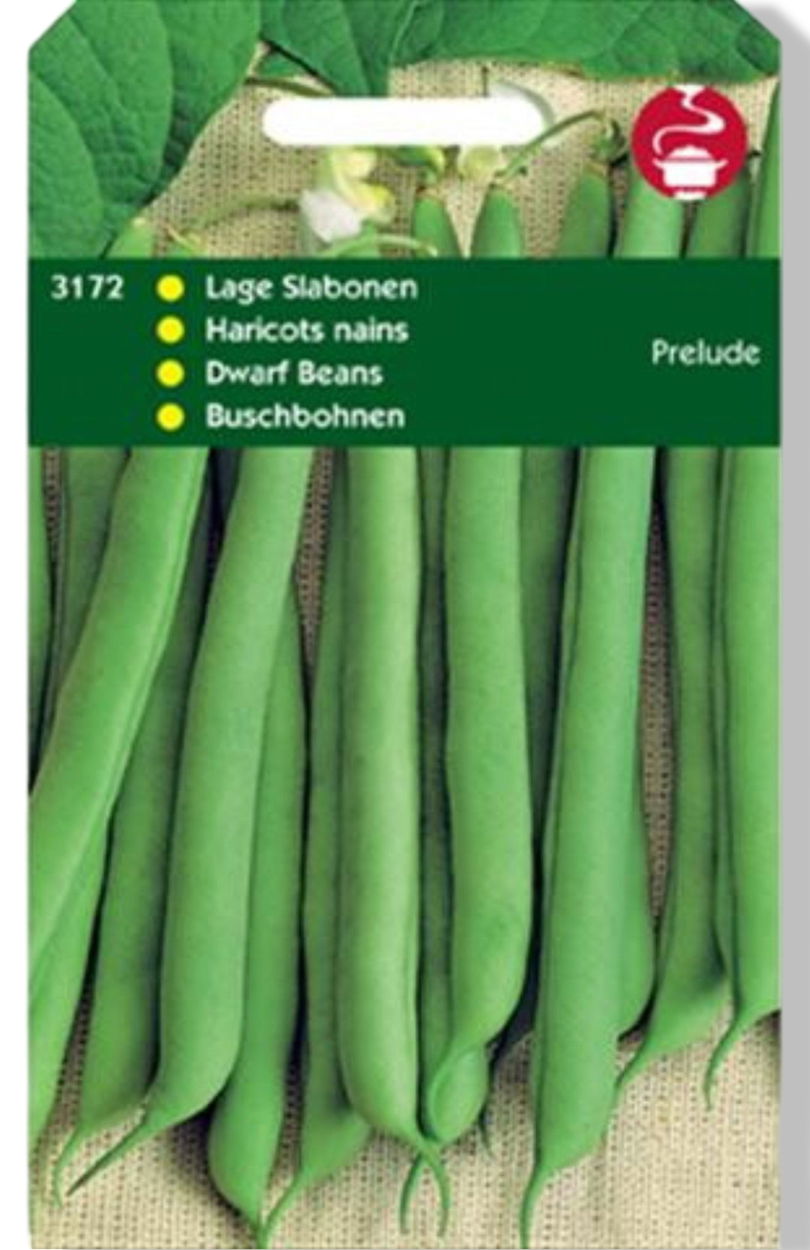 https://cdn.warentuin.nl/media/catalog/product/S/C/SCAN8711117317203_01_tuinplus_zaden_stamslabonen_prelude_zonder_d_c5b0.jpg