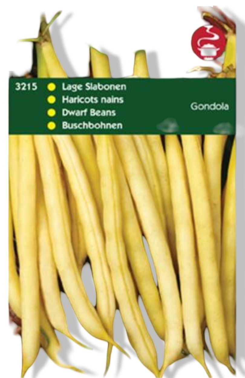 https://cdn.warentuin.nl/media/catalog/product/S/C/SCAN8711117321507_01_tuinplus_zaden_stamslabonen_gondola_wasboon__da56.jpg