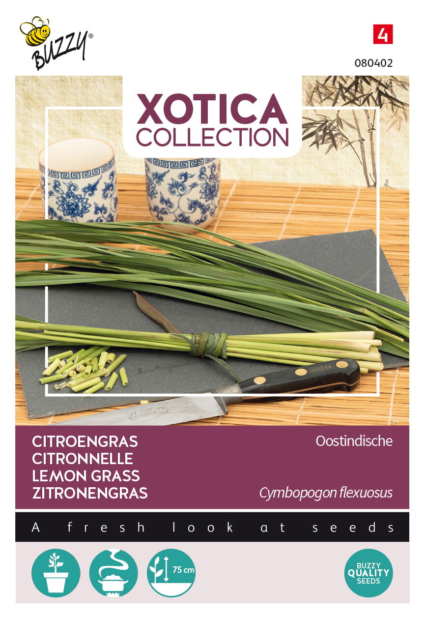 https://cdn.warentuin.nl/media/catalog/product/S/C/SCAN8711117804024_buzzy_tuinzaden_zaden_xotica_citroengras_buzzy_11fa.jpeg