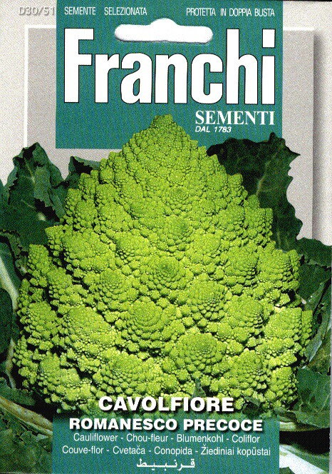 https://cdn.warentuin.nl/media/catalog/product/S/C/SCAN8711117806172_franchi_sementi_tuinzaden_zaden_romanesco_cavolfiore_romanesc_b71b.jpeg