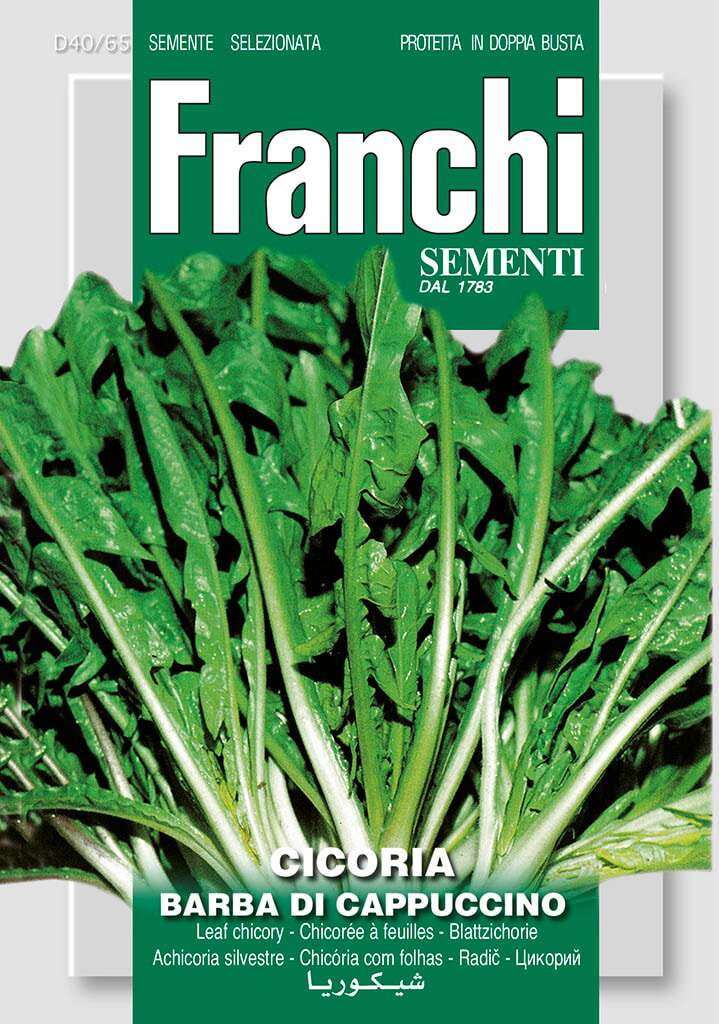 https://cdn.warentuin.nl/media/catalog/product/S/C/SCAN8711117806325_franchi_sementi_tuinzaden_zaden_cichorei_cicoriabarba_di_capp_7c16.jpeg