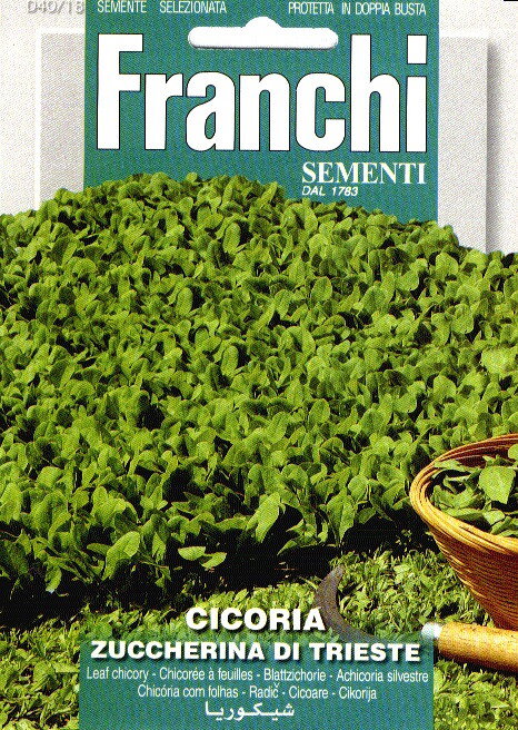 https://cdn.warentuin.nl/media/catalog/product/S/C/SCAN8711117806349_franchi_sementi_tuinzaden_zaden_cichorei_cicoria_di_trieste_4_7c38.jpeg