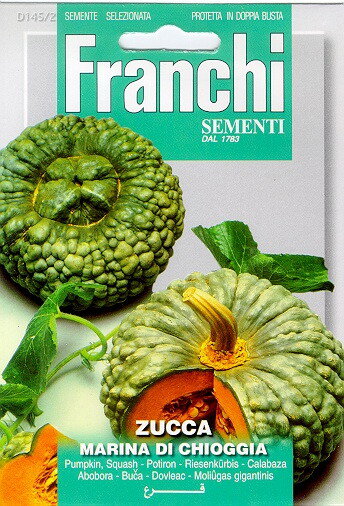 https://cdn.warentuin.nl/media/catalog/product/S/C/SCAN8711117806899_franchi_sementi_tuinzaden_zaden_pompoen_zucca_marina_di_chiog_efd8.jpeg