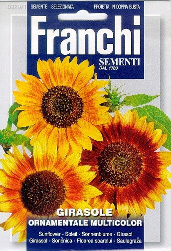https://cdn.warentuin.nl/media/catalog/product/S/C/SCAN8711117807414_franchi_sementi_tuinzaden_zaden_zonnebloem_girasole_ornamenta_608b.jpeg