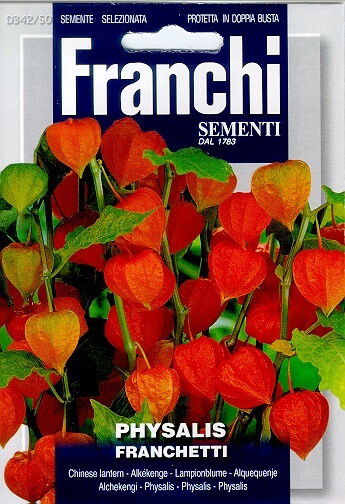 https://cdn.warentuin.nl/media/catalog/product/S/C/SCAN8711117807681_franchi_sementi_tuinzaden_zaden_lampionplant_physalis_franche_04ea.jpeg