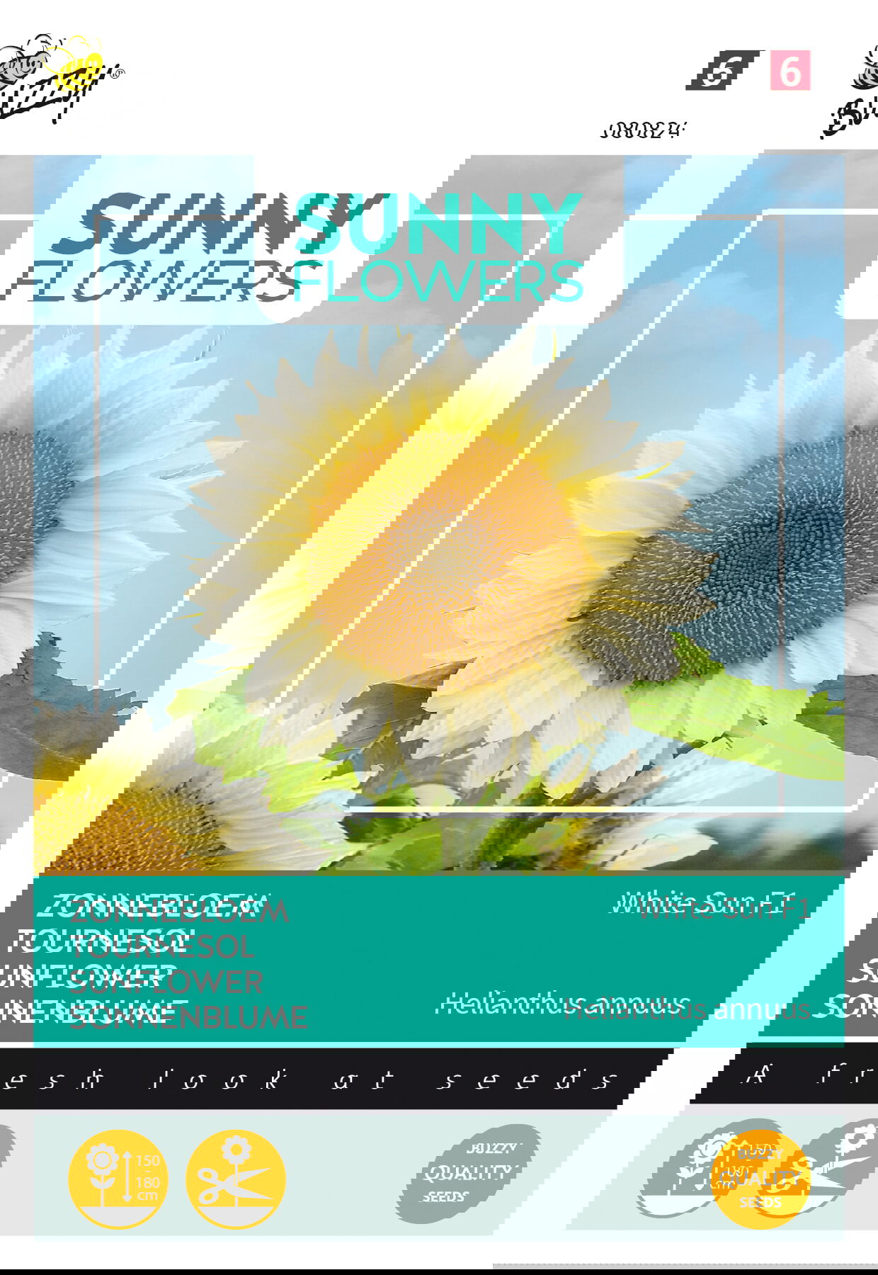 https://cdn.warentuin.nl/media/catalog/product/S/C/SCAN8711117808244_buzzy_tuinzaden_zaden_sunny_flowers_zonnebloem_white_sun_of_d_fde0.jpeg