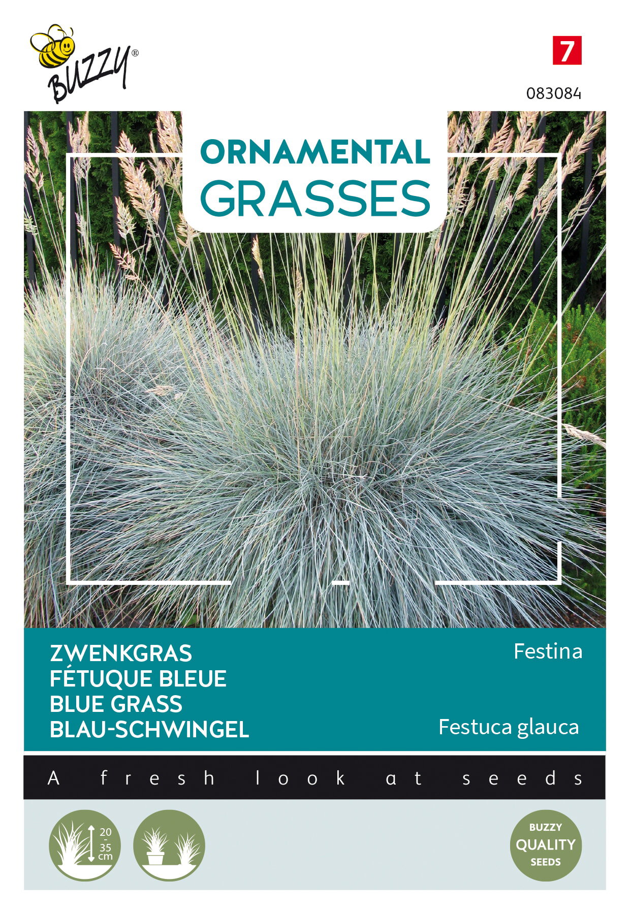 https://cdn.warentuin.nl/media/catalog/product/S/C/SCAN8711117830849_buzzy_tuinzaden_zaden_ornamental_grasses_festuca_glauca_blaue_86a2.jpeg