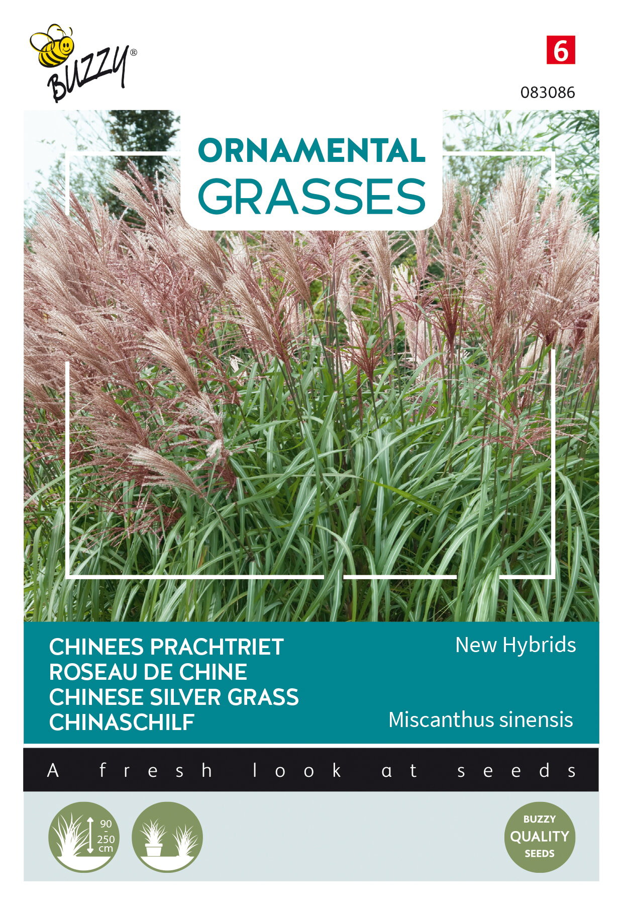 https://cdn.warentuin.nl/media/catalog/product/S/C/SCAN8711117830863_buzzy_tuinzaden_zaden_ornamental_grasses_miscanthus_sinensis__656d.jpeg