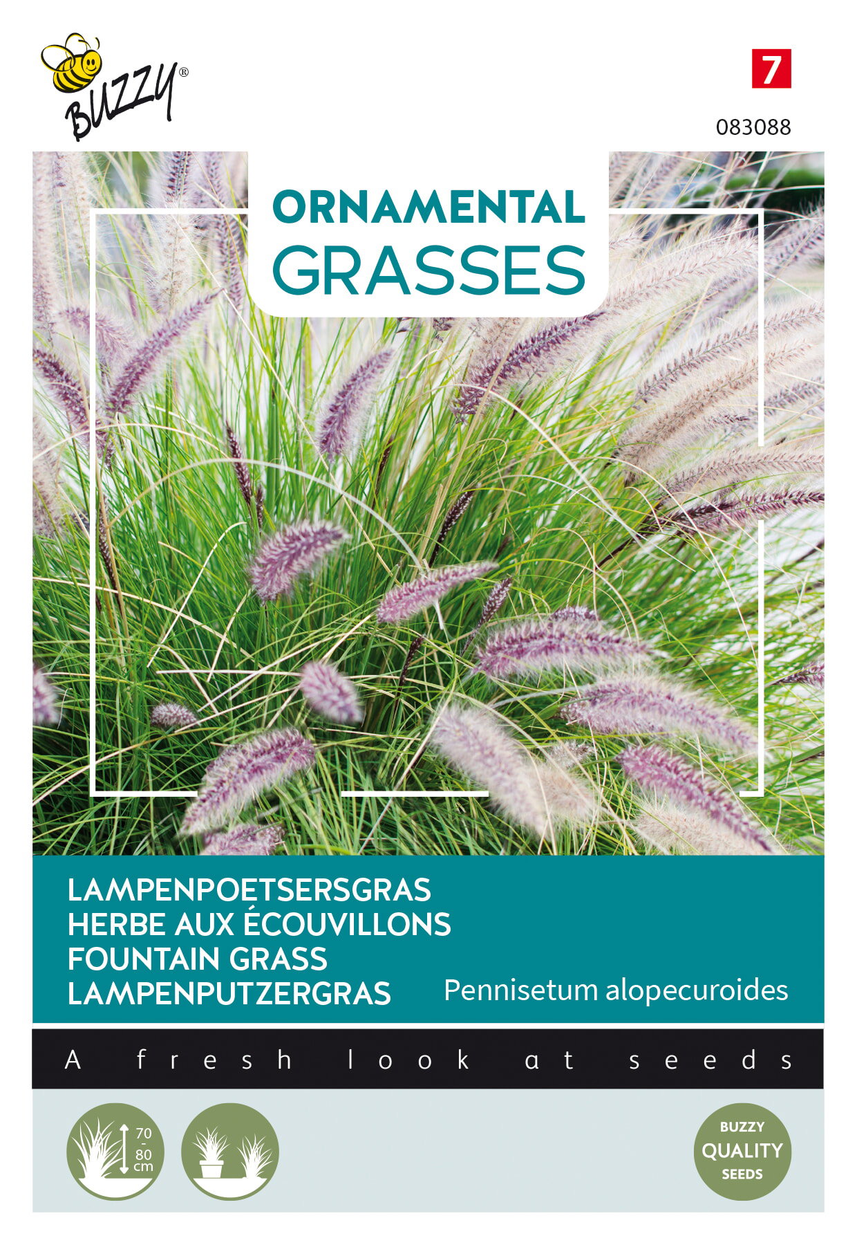https://cdn.warentuin.nl/media/catalog/product/S/C/SCAN8711117830887_buzzy_tuinzaden_zaden_ornamental_grasses_pennisetum_alopecuri_c4b8.jpeg