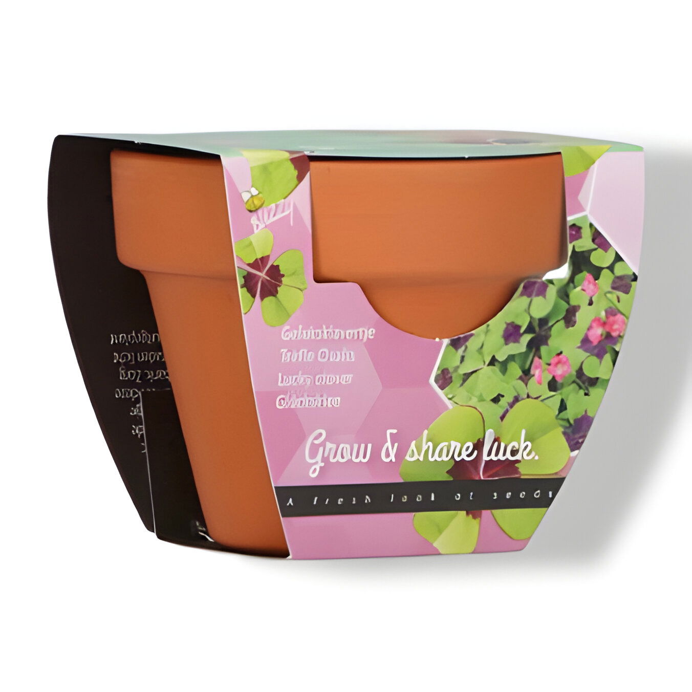 https://cdn.warentuin.nl/media/catalog/product/S/C/SCAN8711117852865_01_buzzy_grow_gifts_kweekset_groeicadeautje_kla_2813.jpg