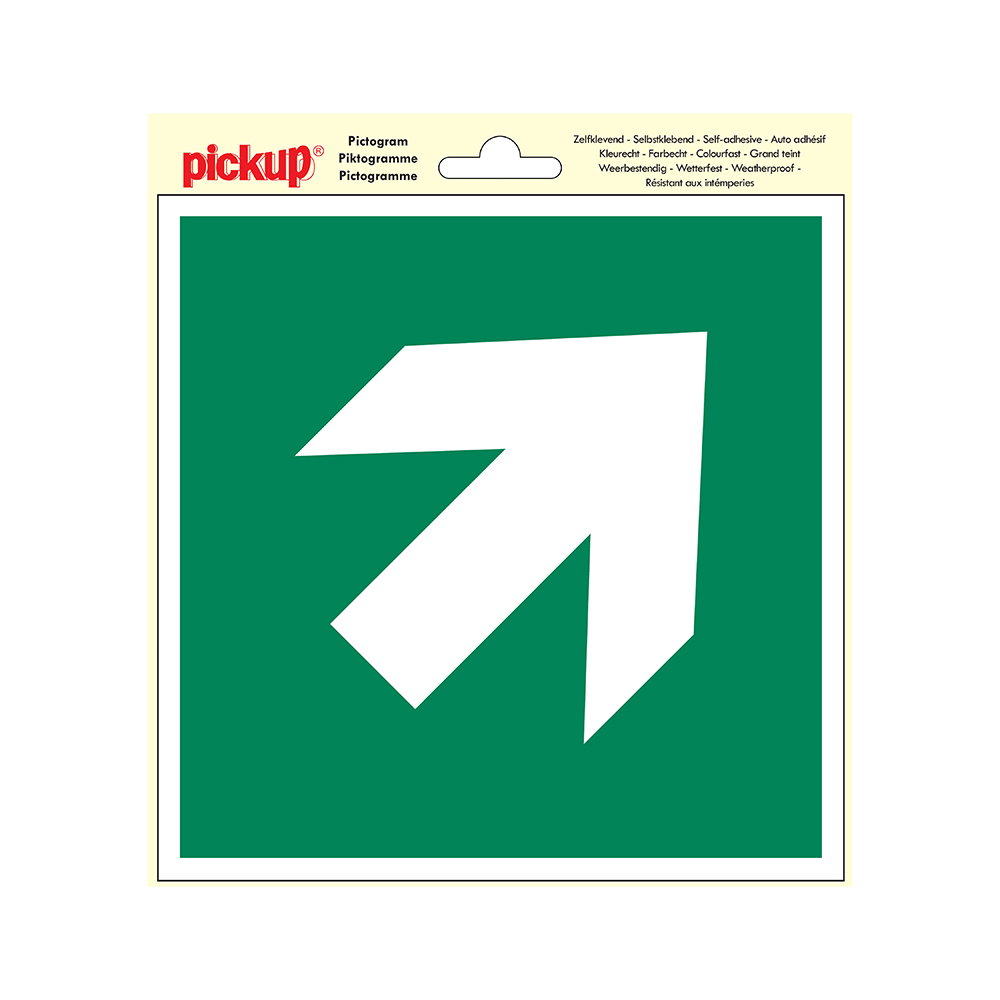 https://cdn.warentuin.nl/media/catalog/product/S/C/SCAN8711234038982_pickup_hobbymaterialen_deco_picto_vluchtweg_pij_0953.jpg
