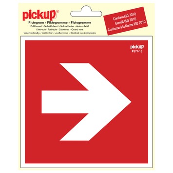 https://cdn.warentuin.nl/media/catalog/product/S/C/SCAN8711234376275_pickup_pick_picto_richtingspijl_90g_150mm_544e.jpeg