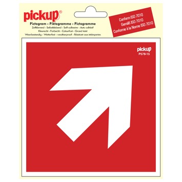 https://cdn.warentuin.nl/media/catalog/product/S/C/SCAN8711234376282_pickup_pick_picto_richtingspijl_45g_150mm_ece7.jpeg