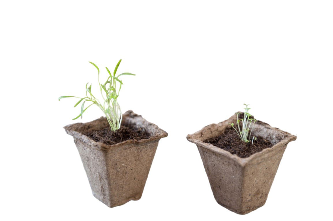 https://cdn.warentuin.nl/media/catalog/product/S/C/SCAN8711338201206_torfkrug_h6x6x6cm_satz_a_16_stuck_nature_d73b.jpg