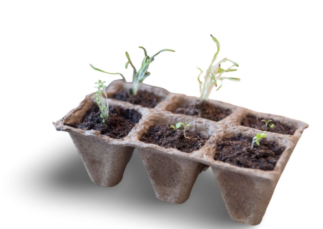 https://cdn.warentuin.nl/media/catalog/product/S/C/SCAN8711338201220_01_turfpottrays_h5x5x5cm_set_a_10_trays_van_6_stuks_nature_313a.jpg