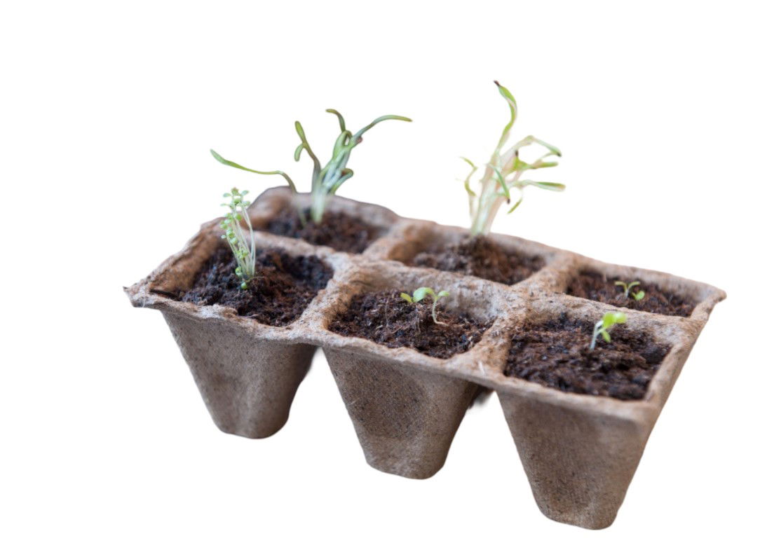 https://cdn.warentuin.nl/media/catalog/product/S/C/SCAN8711338201220_turfpottrays_h5x5x5cm_satz_a_10_tabletts_von_6_stuck_nature_4729.jpg