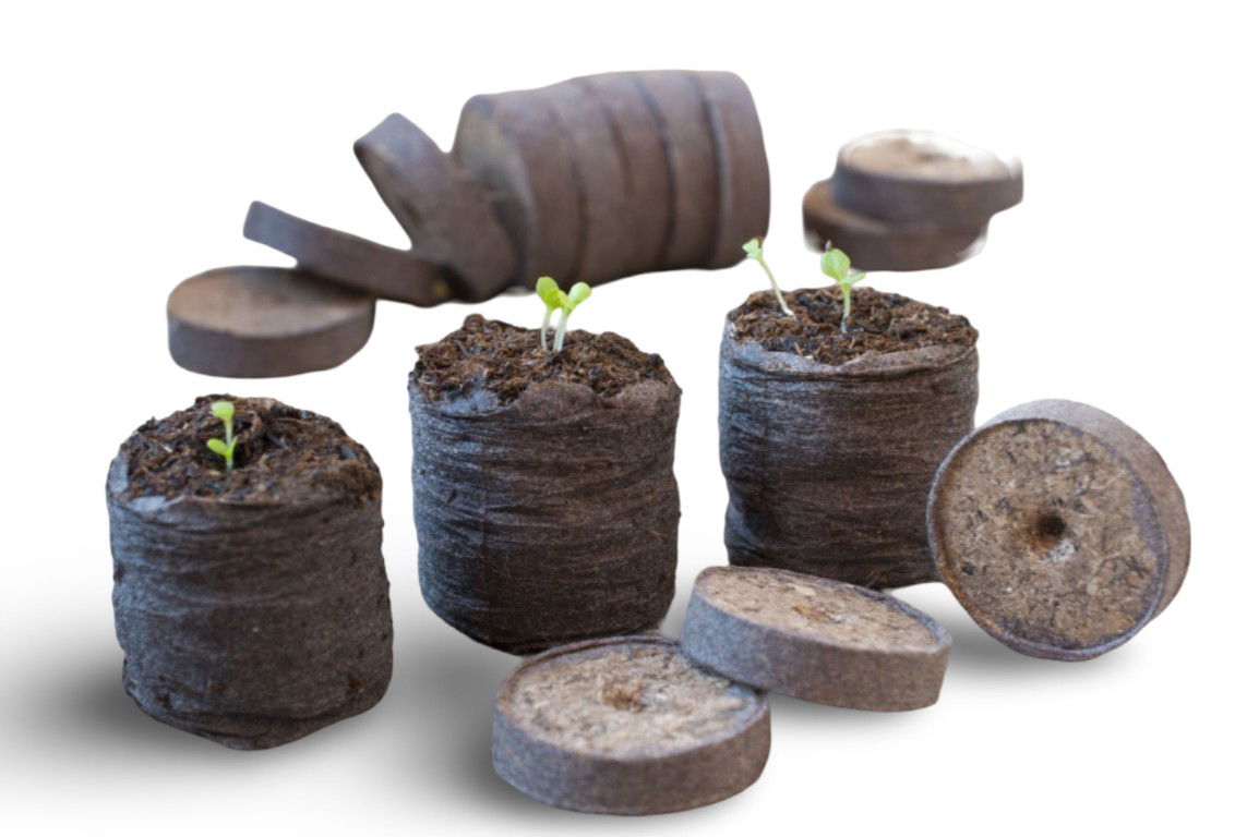 https://cdn.warentuin.nl/media/catalog/product/S/C/SCAN8711338201268_01_turftabletten_dia_4cm_set_a_48_stuks_nature_193f.jpg