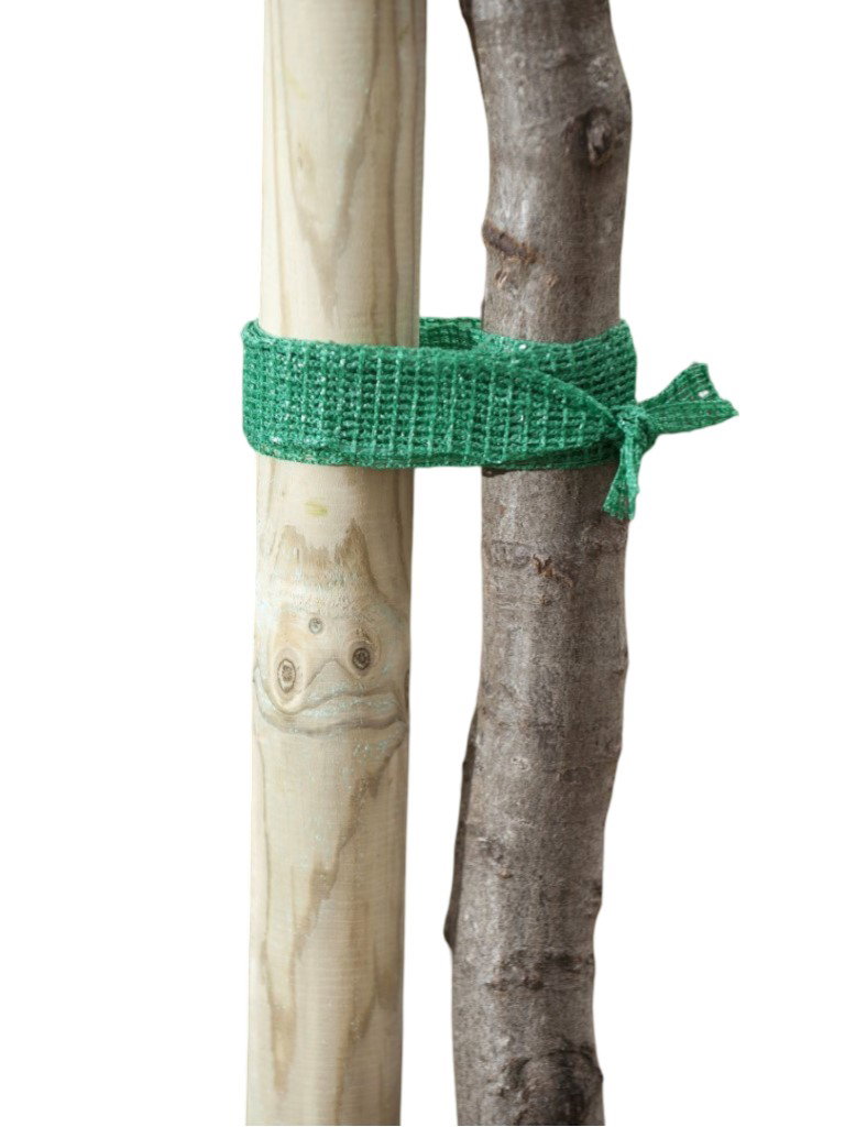 Uni-Baumband 4cmx2m