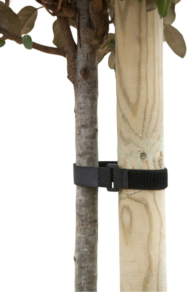 https://cdn.warentuin.nl/media/catalog/product/S/C/SCAN8711338404041_klettband_mit_schnalle_40x2_5cm_satz_a_2_stuck_nature_0492.jpg