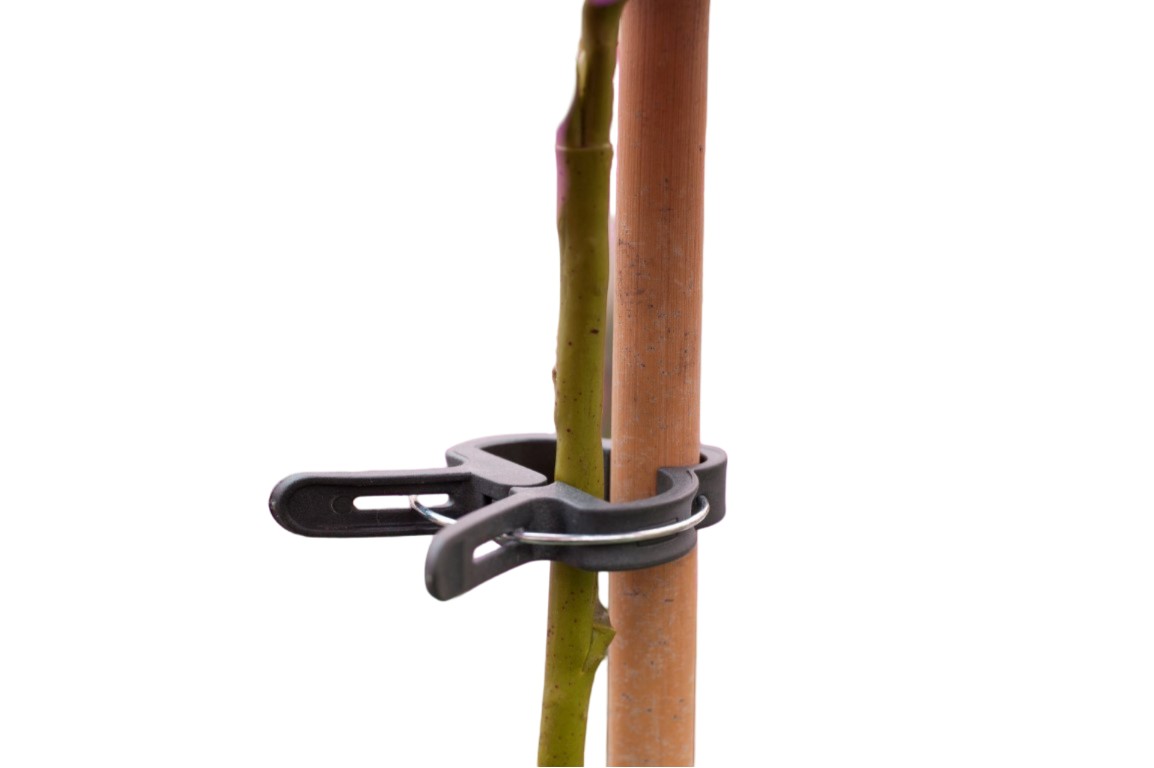 https://cdn.warentuin.nl/media/catalog/product/S/C/SCAN8711338404386_pflanzenklammern_dia_24mm_satz_a_10_stuck_nature_eb1a.jpg