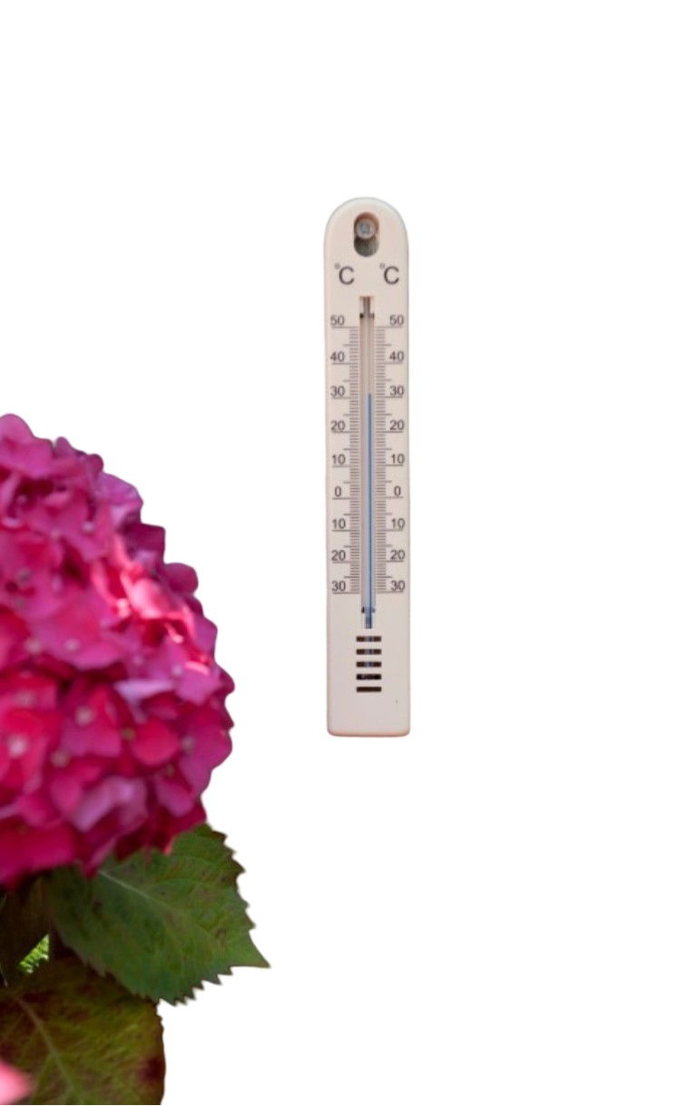 Muurthermometer kunststof beige 17x2,5x0,5cm Nature