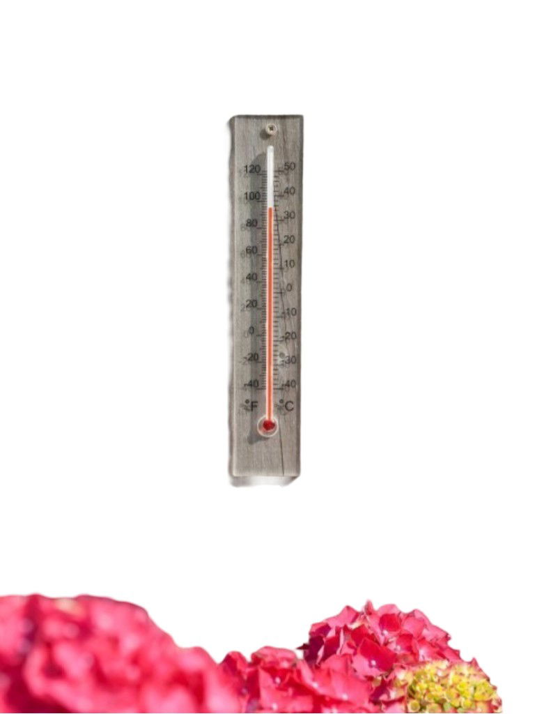 Muurthermometer plexiglas 21x4x0,8cm Nature