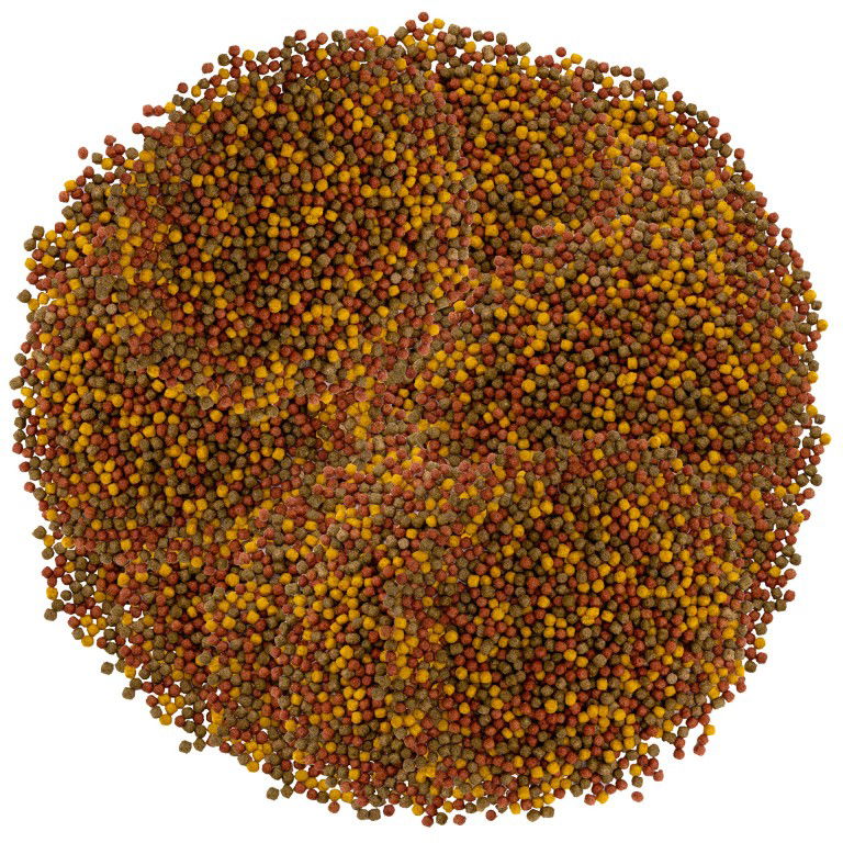 https://cdn.warentuin.nl/media/catalog/product/S/C/SCAN8711465732024_01_visvoer_fish_mix_universal_menu_3_5l_3mm_ubbink_d953.jpg