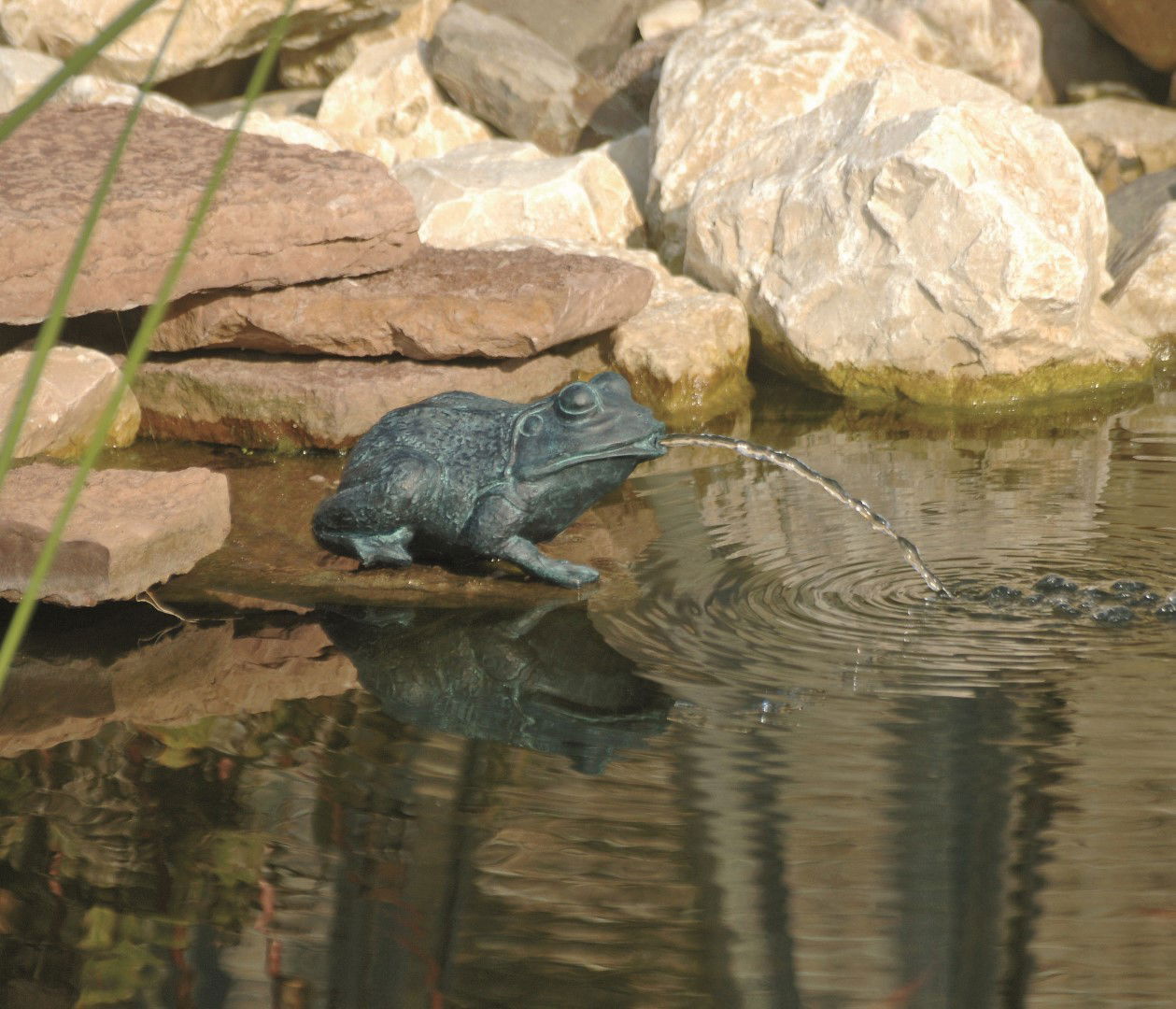 https://cdn.warentuin.nl/media/catalog/product/S/C/SCAN8711465860086_1_wasserfigur_frosch_klein_ubbink_64cc.jpg