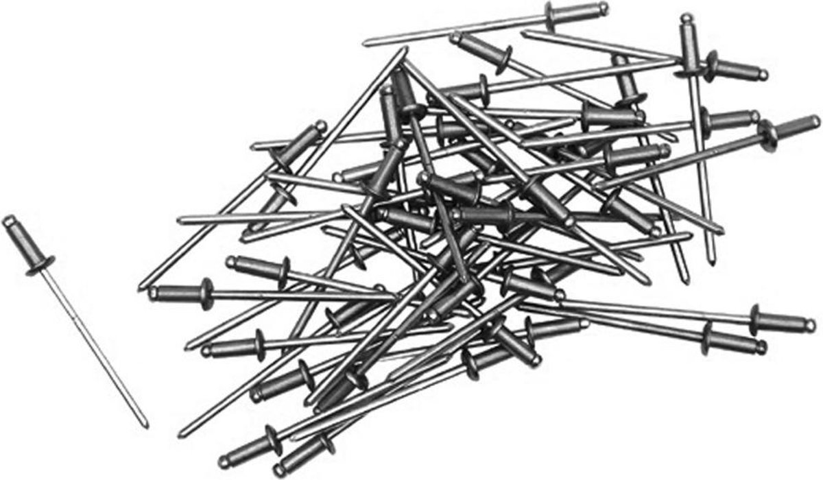 https://cdn.warentuin.nl/media/catalog/product/S/C/SCAN8711562188021_blindklinknagel_4x16mm_skandia_d2cb.jpg