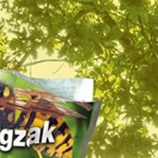 https://cdn.warentuin.nl/media/catalog/product/S/C/SCAN8711731038058_01_waspfree_trap_wespenval_ecostyle_196c.jpg