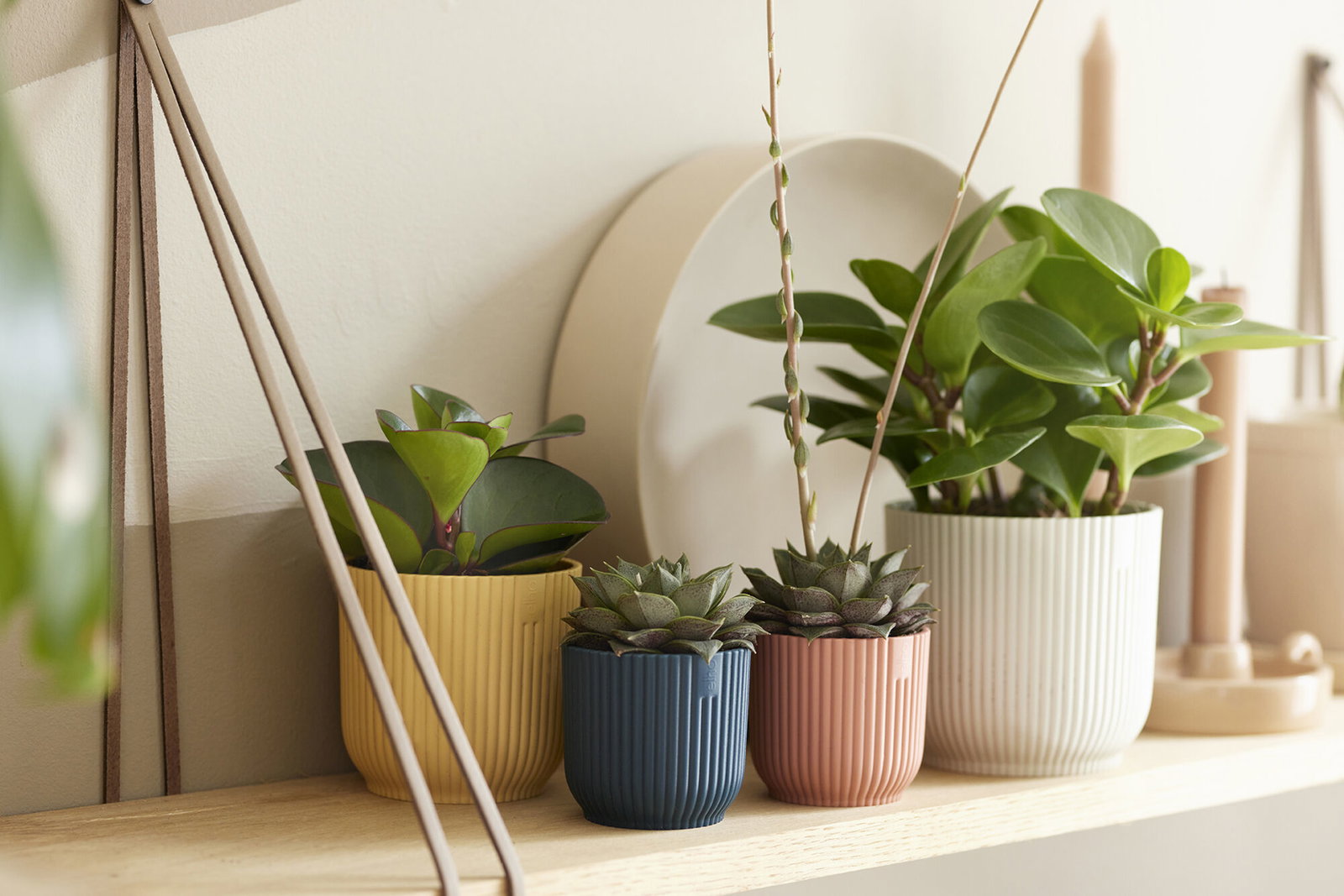 https://cdn.warentuin.nl/media/catalog/product/S/C/SCAN8711904493684_02_vibes_fold_rond_mini_dia_7_cm_bloempot_ii_elho_31f1.jpg