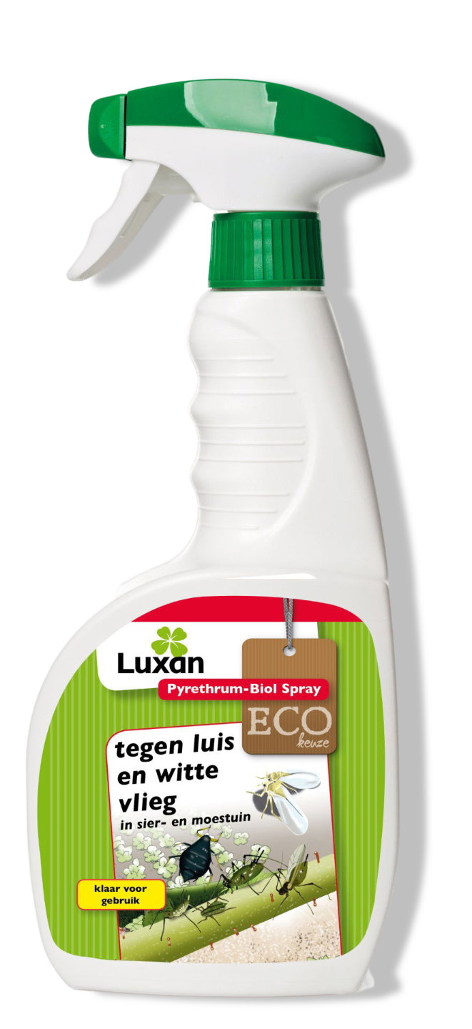 https://cdn.warentuin.nl/media/catalog/product/S/C/SCAN8711957358374_01_luxan_pyrethrum_biol_spray_gewasbescherming_luxan_e804.jpg