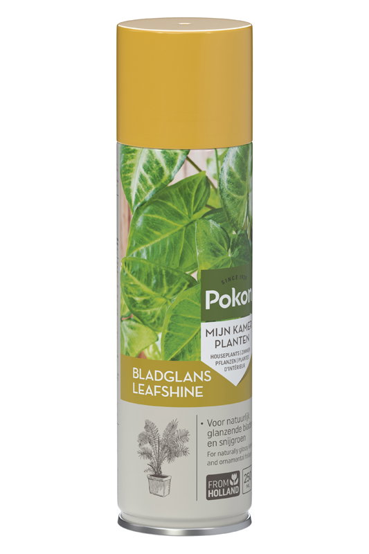 https://cdn.warentuin.nl/media/catalog/product/S/C/SCAN8711969003163_01_pokon_tuinaccesoire_bladglans_250_ml_6714.jpg