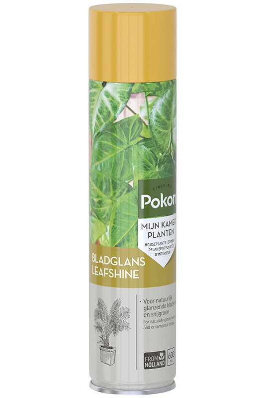 https://cdn.warentuin.nl/media/catalog/product/S/C/SCAN8711969003361_01_pokon_tuinaccesoire_bladglans_600_ml_62f7.jpg