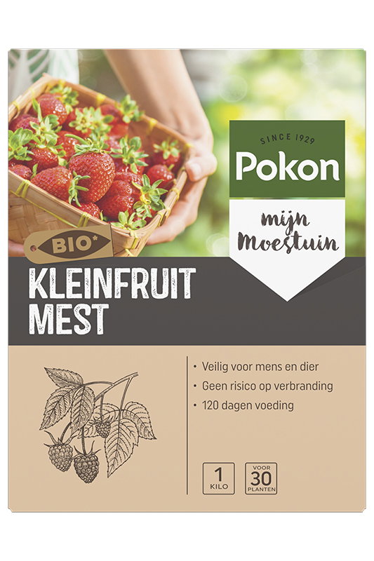 Kleinfruit Voeding 1 kg Pokon - Pokon
