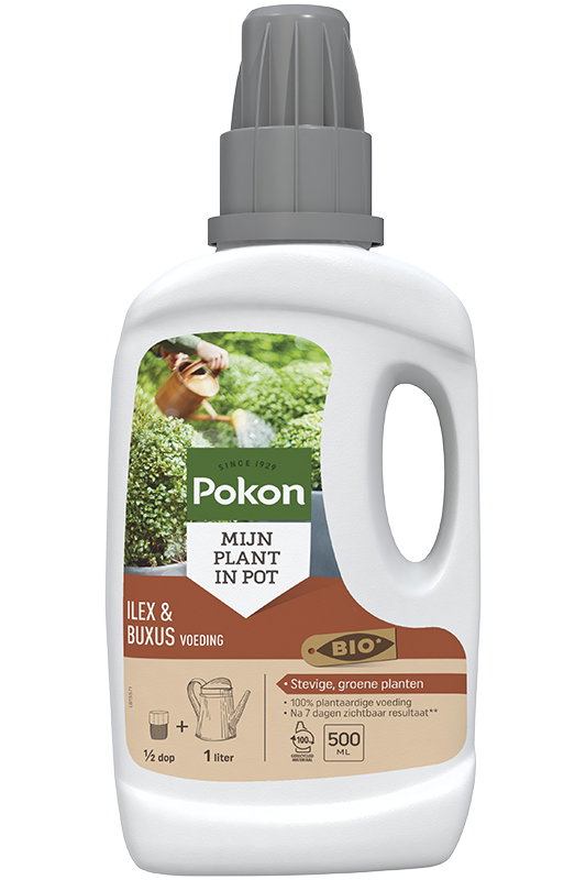 Bio Buxus & Ilex Voeding 500ml Pokon - Pokon