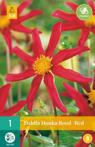 https://cdn.warentuin.nl/media/catalog/product/S/C/SCAN8712438616075_dahlia_honka_rood_1st_jub_c9d5.jpg