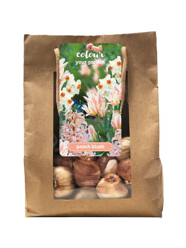 Tas colour your garden peach blush - JUB