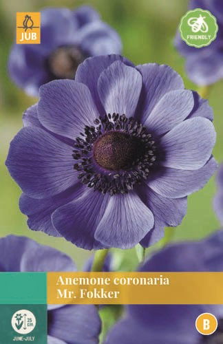 https://cdn.warentuin.nl/media/catalog/product/S/C/SCAN8712438973345_jub_anemone_coronaria_mr_fokker_blauw_15_bloembollen_jub_5497.jpg