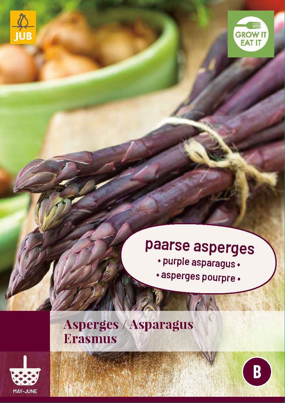 https://cdn.warentuin.nl/media/catalog/product/S/C/SCAN8712438979361_jub_eetbare_tuin_asparagus_erasmus_bloembol_1_stuk_00ca.jpg