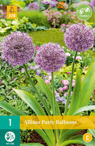 Allium party balloons - JUB