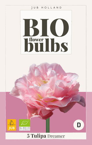 Tulipa dreamer - bio - JUB